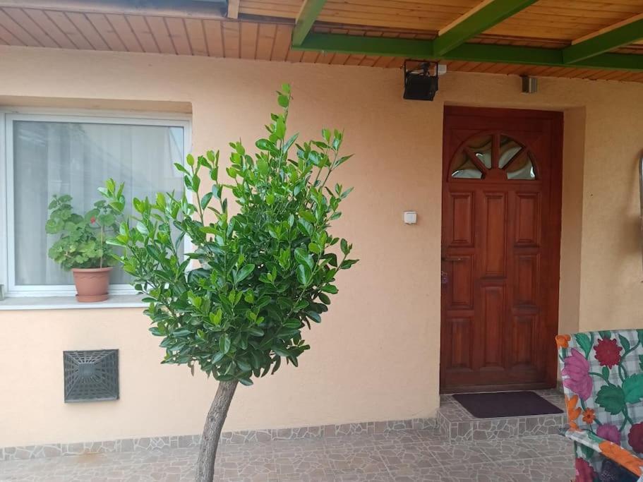 Ferienwohnung D38 Pestelizabeth Apartman Budapest Exterior foto